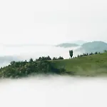 Colleverde &